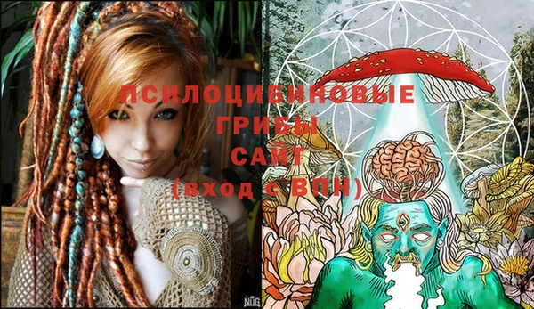 прущий лед Балахна